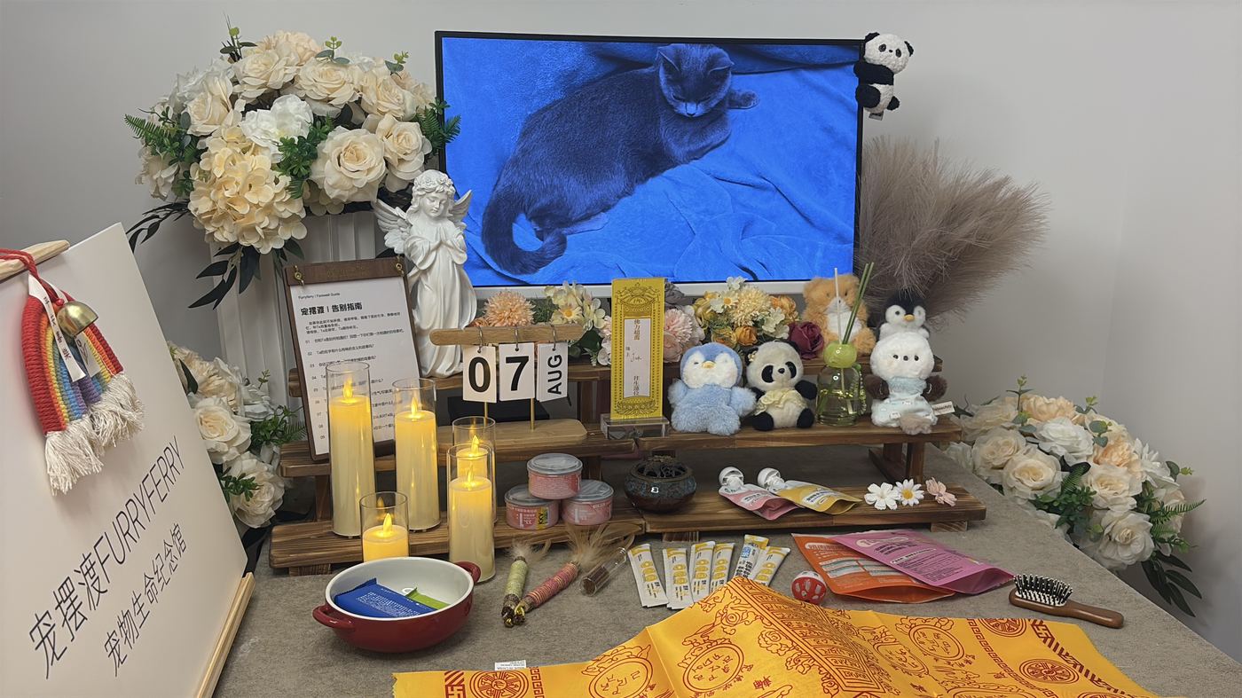 死亡证明如何开具
