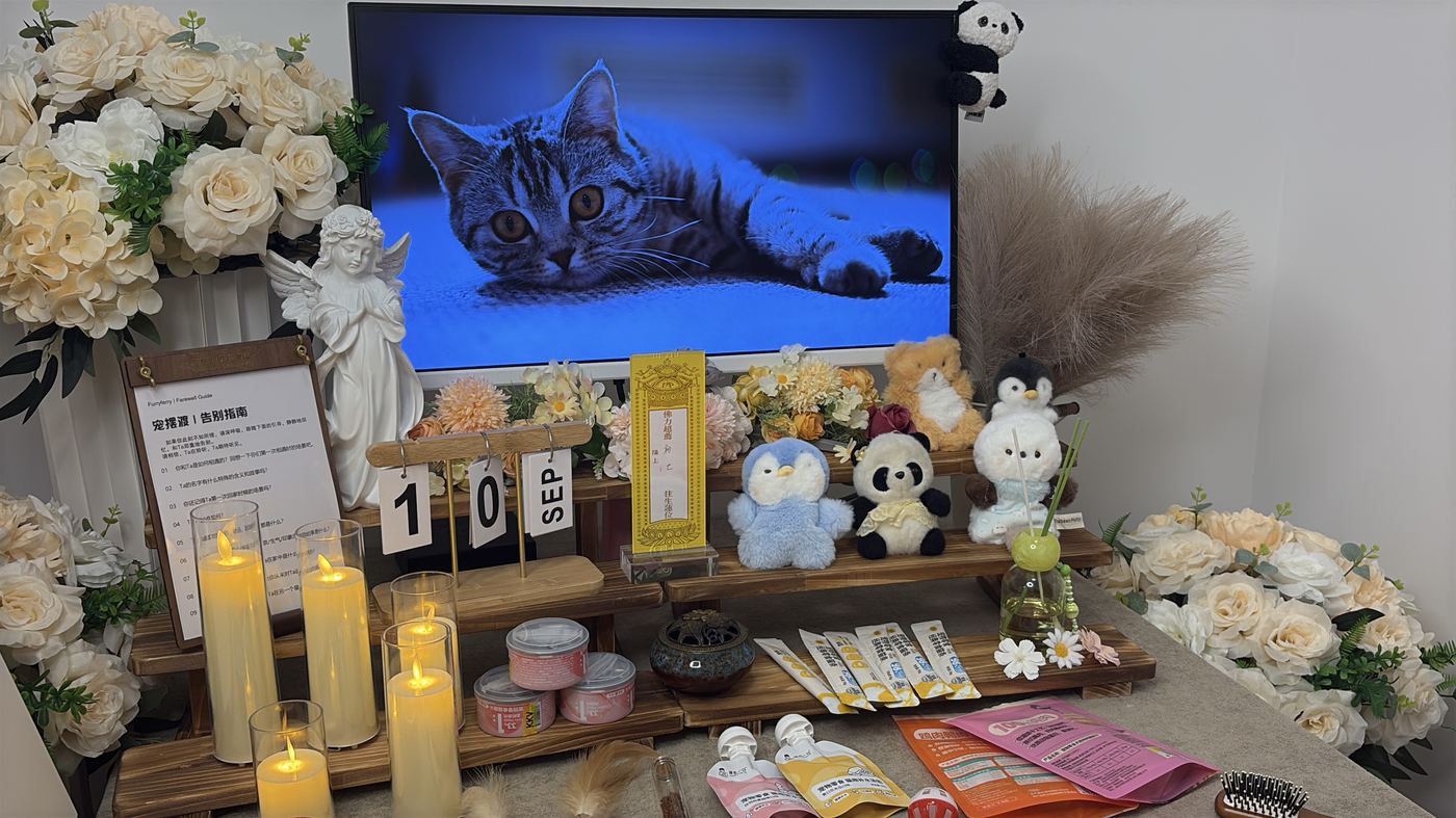 二、每一笔钱花在哪里