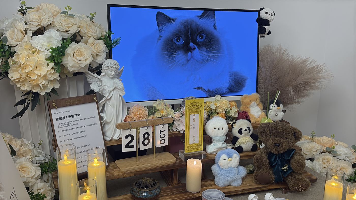 宠物纪念品怎么选？贵阳常见纪念方式盘点